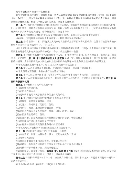 辽宁省农村集体经济审计实施细则