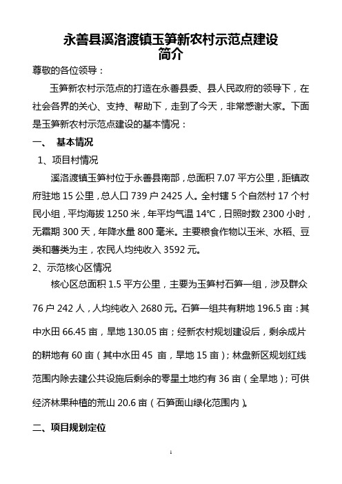 永善县溪洛渡镇玉笋新农村示范点建设简介(政协)