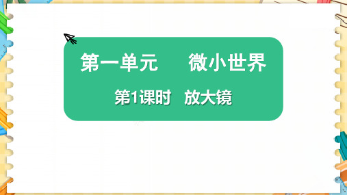 新教科版六年级科学上册《放大镜》优质教学课件