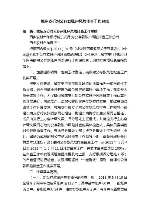 城东支行对公存款账户风险排查工作总结