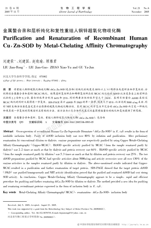 金属螯合亲和层析纯化和复性重组人铜锌超氧化物歧化酶