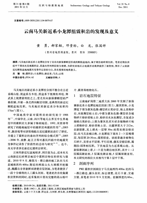 云南马关新近系小龙潭组震积岩的发现及意义