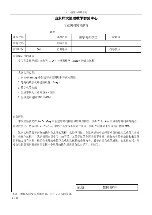 数字地面模型实验报告