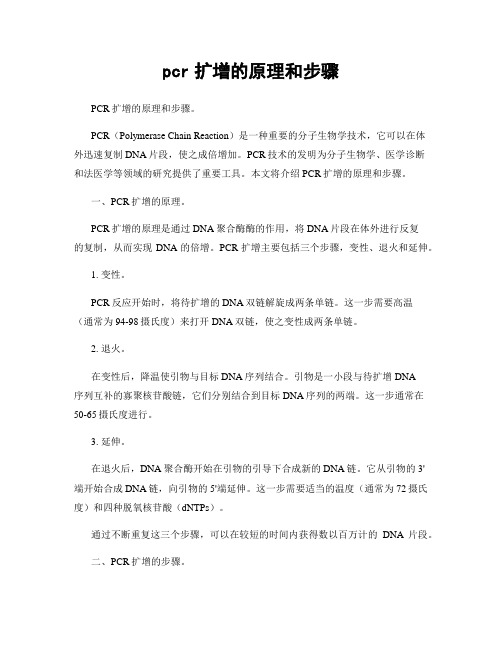 pcr扩增的原理和步骤