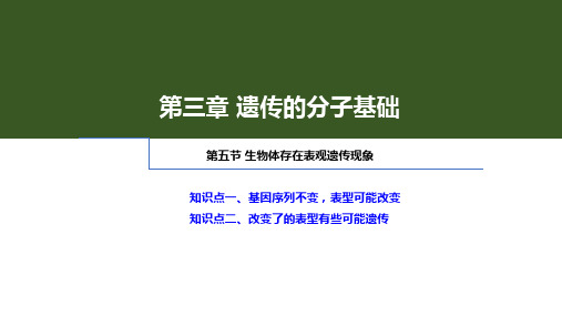 浙科版(2019)必修二  3-5生物体存在表观遗传现象  课件(24张)