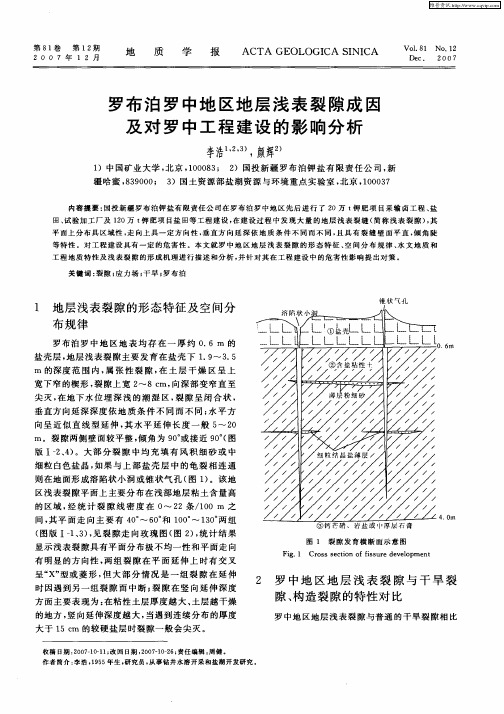 罗布泊罗中地区地层浅表裂隙成因及对罗中工程建设的影响分析