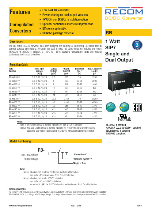 RB系列DC DC转换器说明书