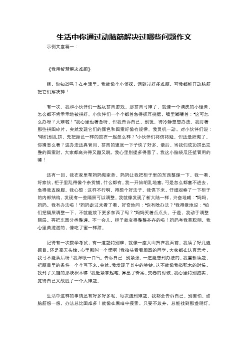 生活中你通过动脑筋解决过哪些问题作文