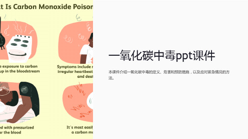 一氧化碳中毒ppt课件