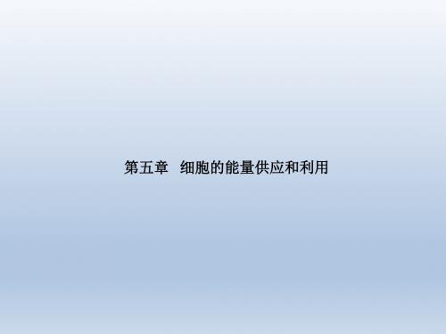 《降低化学反应活化能的酶》生物精品课件(新人教版必修1)