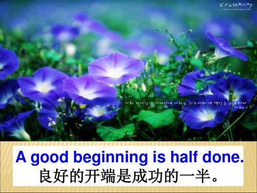 七年级英语人称代词和物主代词