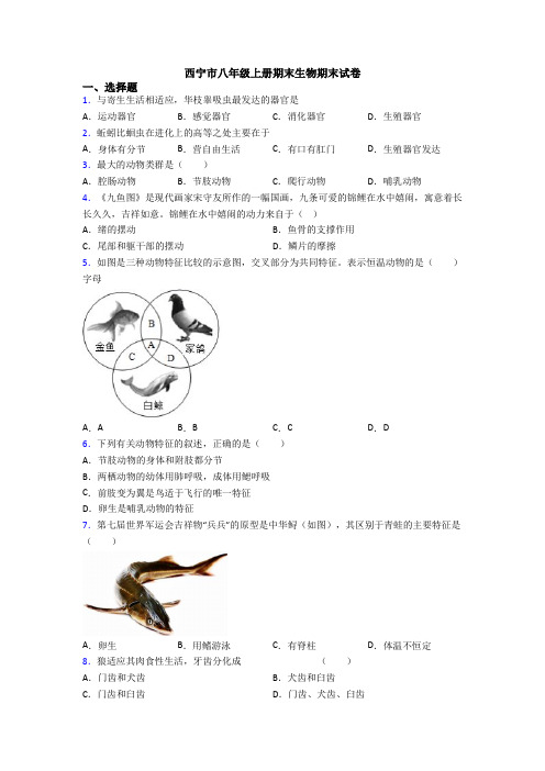 西宁市八年级上册期末生物期末试卷