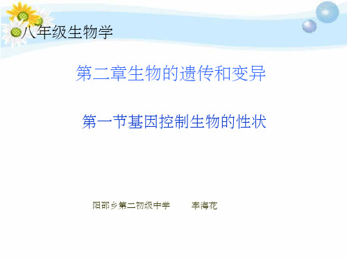 八年级生物下册第二章第一节基因控制生物的性状PPT课件