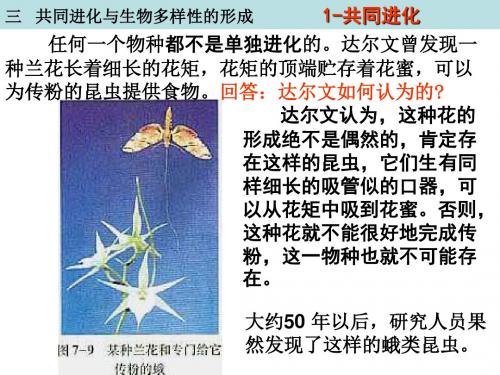 7.2.3共同进化与生物多样性的形成