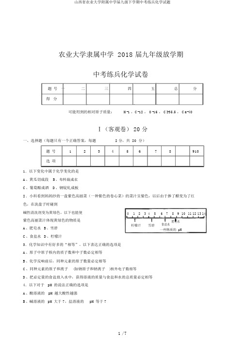 山西省农业大学附属中学届九级下学期中考练兵化学试题