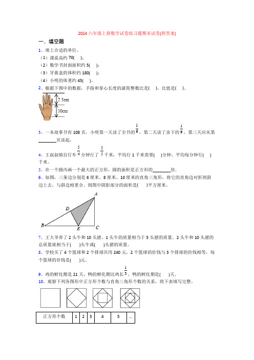 2024六年级上册数学试卷练习题期末试卷(附答案)