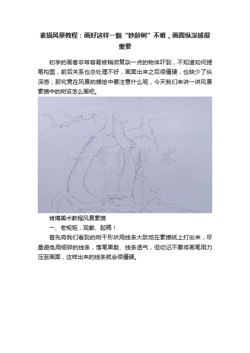 素描风景教程：画好这样一颗“妙龄树”不难，画面纵深感很重要