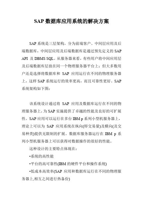 SAP数据库应用系统的解决方案