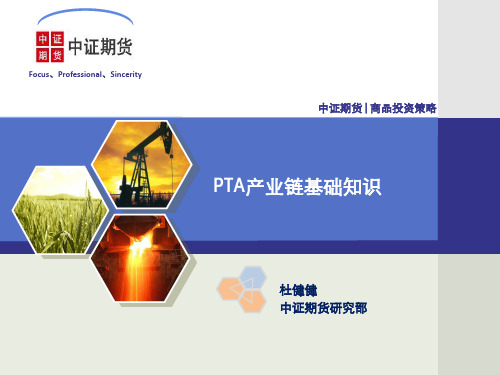 化工产业训练营PTA-文档资料57页