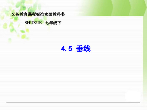 新湘教版七年级下4.5垂线课件ppt