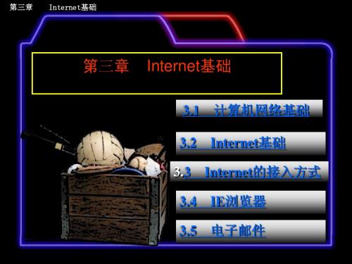 第3章 Internet应用基础