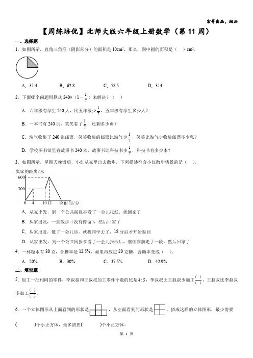 【周练培优】北师大版六年级上册数学(第11周)