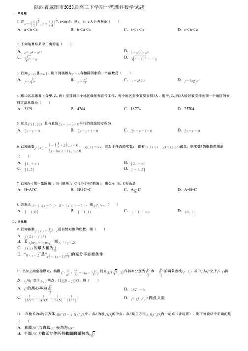 陕西省咸阳市2023届高三下学期一模理科数学试题