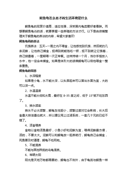 鳄鱼龟怎么养才凶生活环境是什么