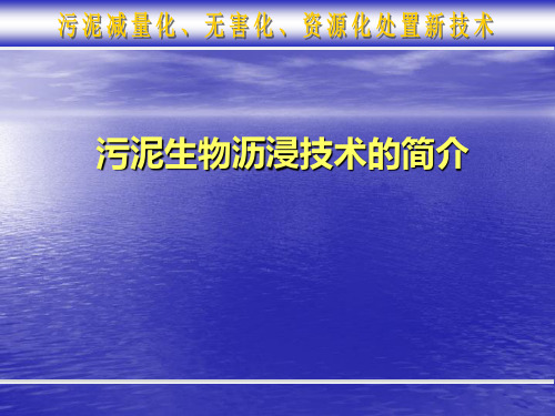 污泥生物沥浸高干度脱水技术简介全解