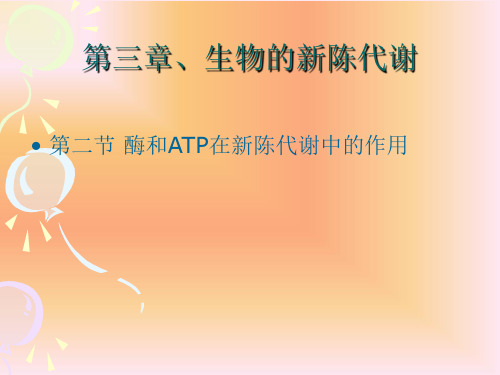 酶和ATP在新陈代谢中的作用