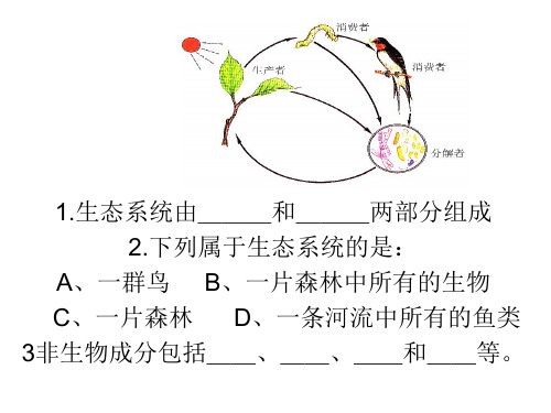 生态系统复习课件