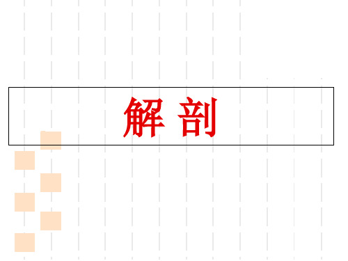 PPT医学课件颅内动脉瘤夹闭术讲义