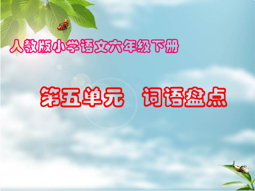 人教版六年级语文下册《五组 词语盘点》示范课课件_0