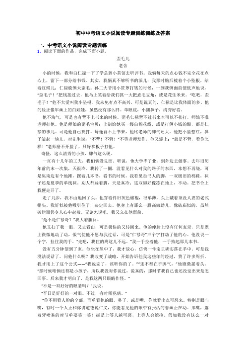 初中中考语文小说阅读专题训练训练及答案