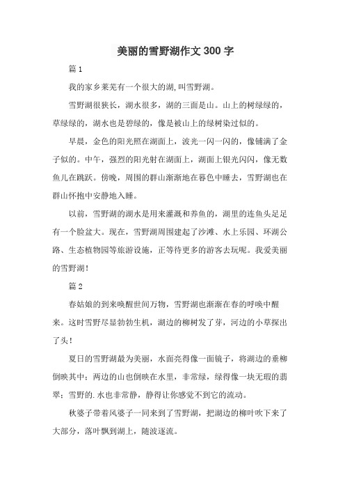 美丽的雪野湖作文300字