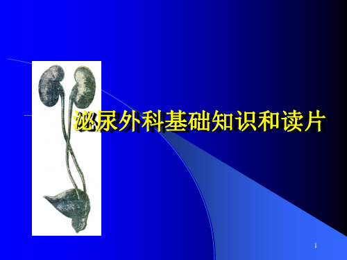 泌尿外科基础知识和读参考PPT