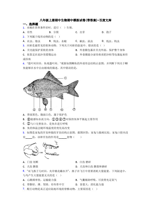 八年级上册期中生物期中模拟试卷(带答案)-百度文库