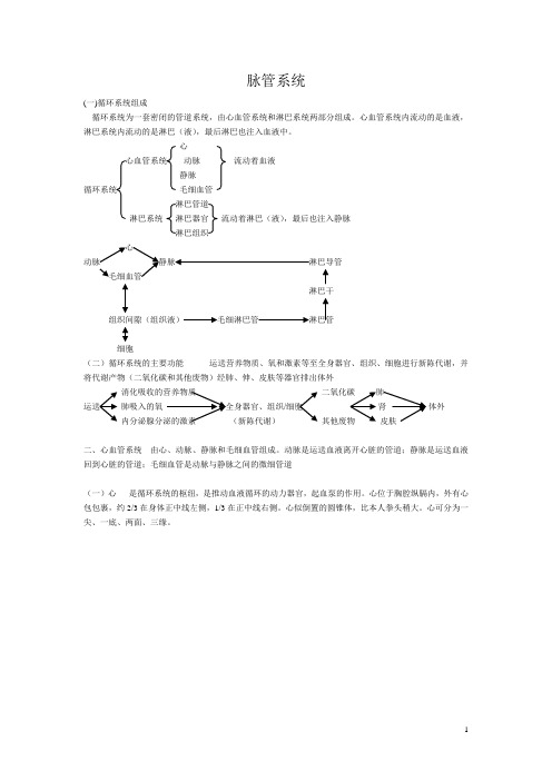 八、脉管系统