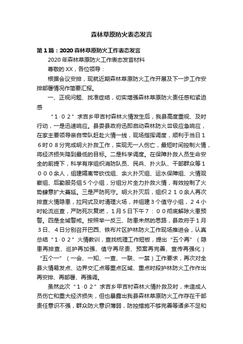 森林草原防火表态发言