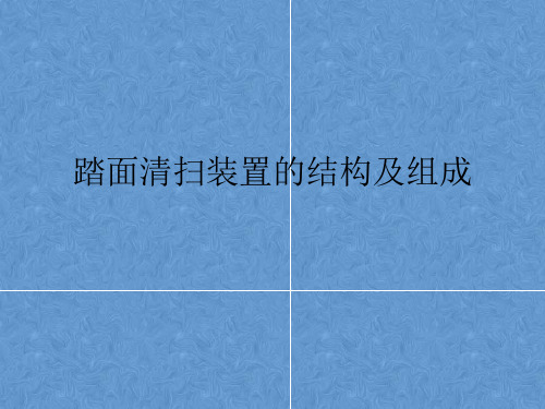 踏面清扫装置维护与检修