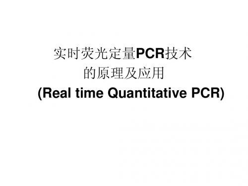 实时荧光定量PCR