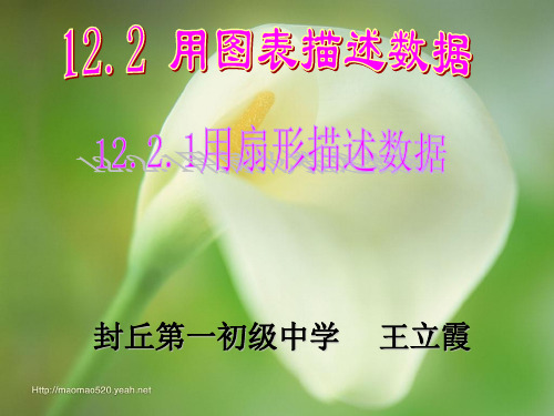 新人教版八上12.2.1用扇形描述数据 课件