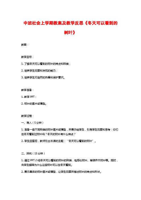 中班社会上学期教案及教学反思《冬天可以看到的树叶》