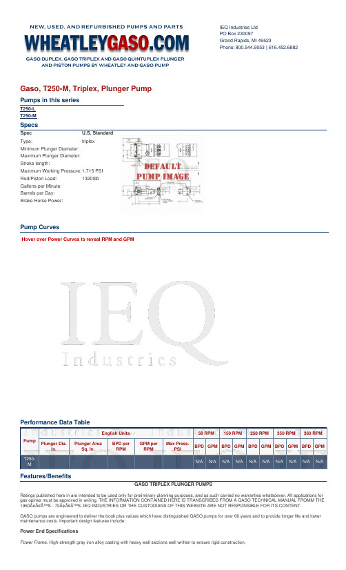GASO TRIPLEX PLUNGER PUMPS 技术手册说明书