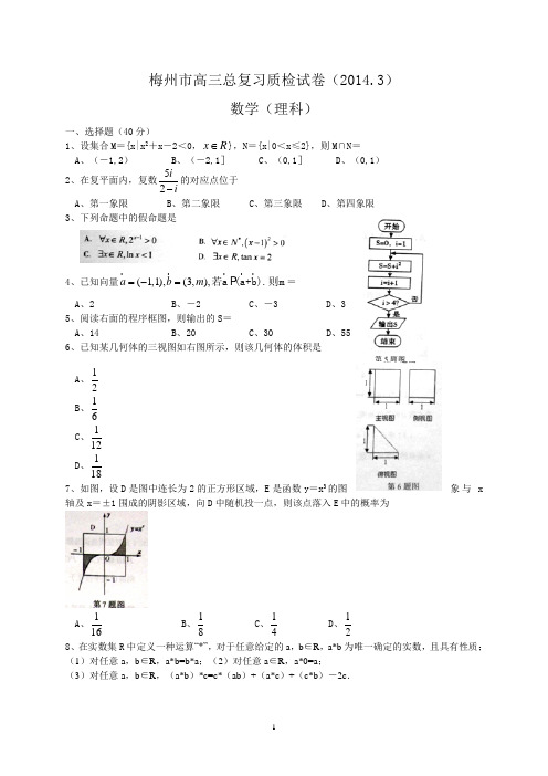 【梅州质检】梅州市2014届高三3月总复习质检数学理试题