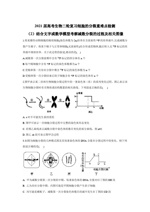 2021届高考生物二轮复习细胞的分裂重难点检测(2)结合文字或数学模型考察减数分裂的过程及相关图像