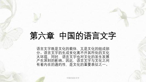 中国的语言文字课件