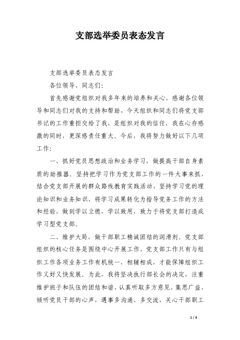 支部选举委员表态发言