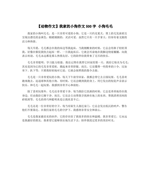 【动物作文】我家的小狗作文500字 小狗毛毛