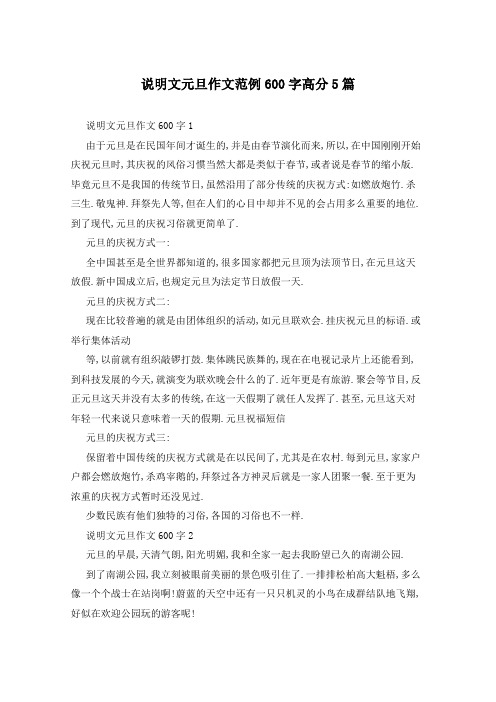 说明文元旦作文范例600字高分5篇